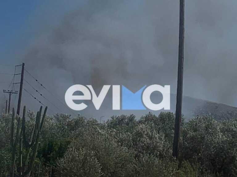 The fire in Chalkida is under control – Testimonies for arson
