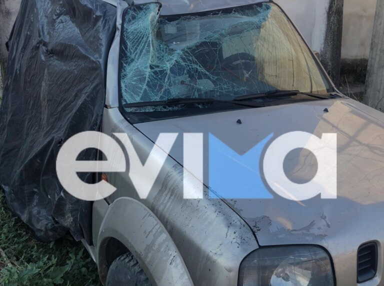 Οδηγός συγκρούστηκε με αγριογούρουνα στην Εύβοια - Αναποδογύρισε το όχημα