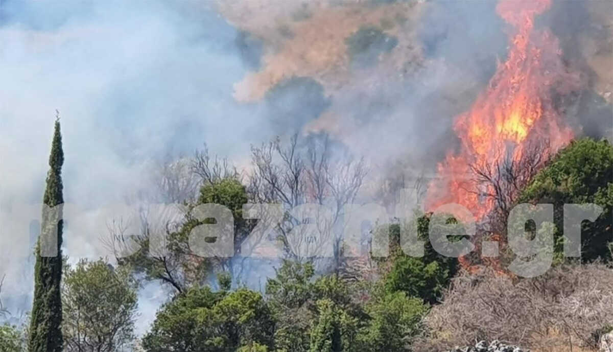 Φωτιά στη Ζάκυνθο, στην περιοχή Σεβέικα – 112 για τον οικισμό Μεγάλα Αλώνια