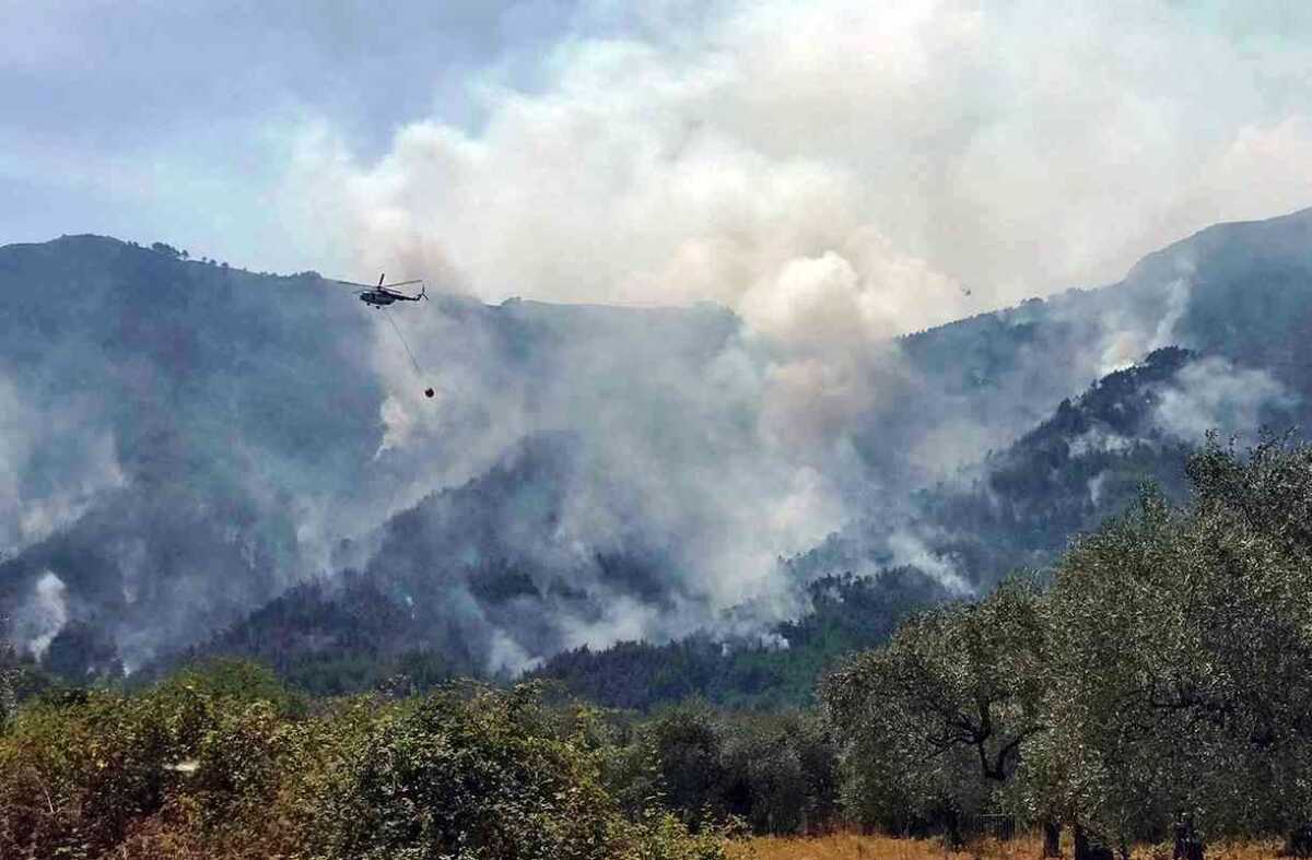 Φωτιά στη Θάσο: Συνεχίζεται η μάχη με τις φλόγες – Κάηκε δάσος με έλατα