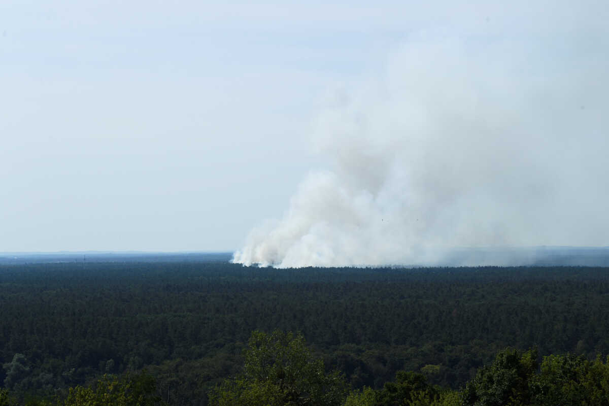 Smoke rises up above the Grunewald forest due to an explosion in a munitions depot in the Grunewald forest in Berlin, Germany August 4, 2022. REUTERS