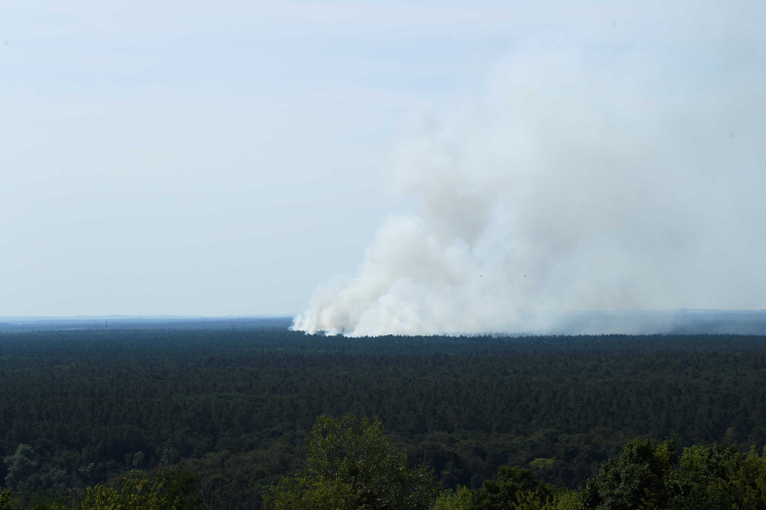 Smoke rises up above the Grunewald forest due to an explosion in a munitions depot in the Grunewald forest in Berlin, Germany August 4, 2022. REUTERS