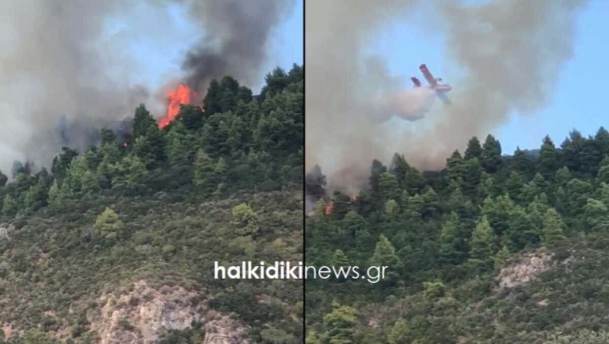 Φωτιά στο Άγιο Όρος – Ενισχύονται οι πυροσβεστικές δυνάμεις