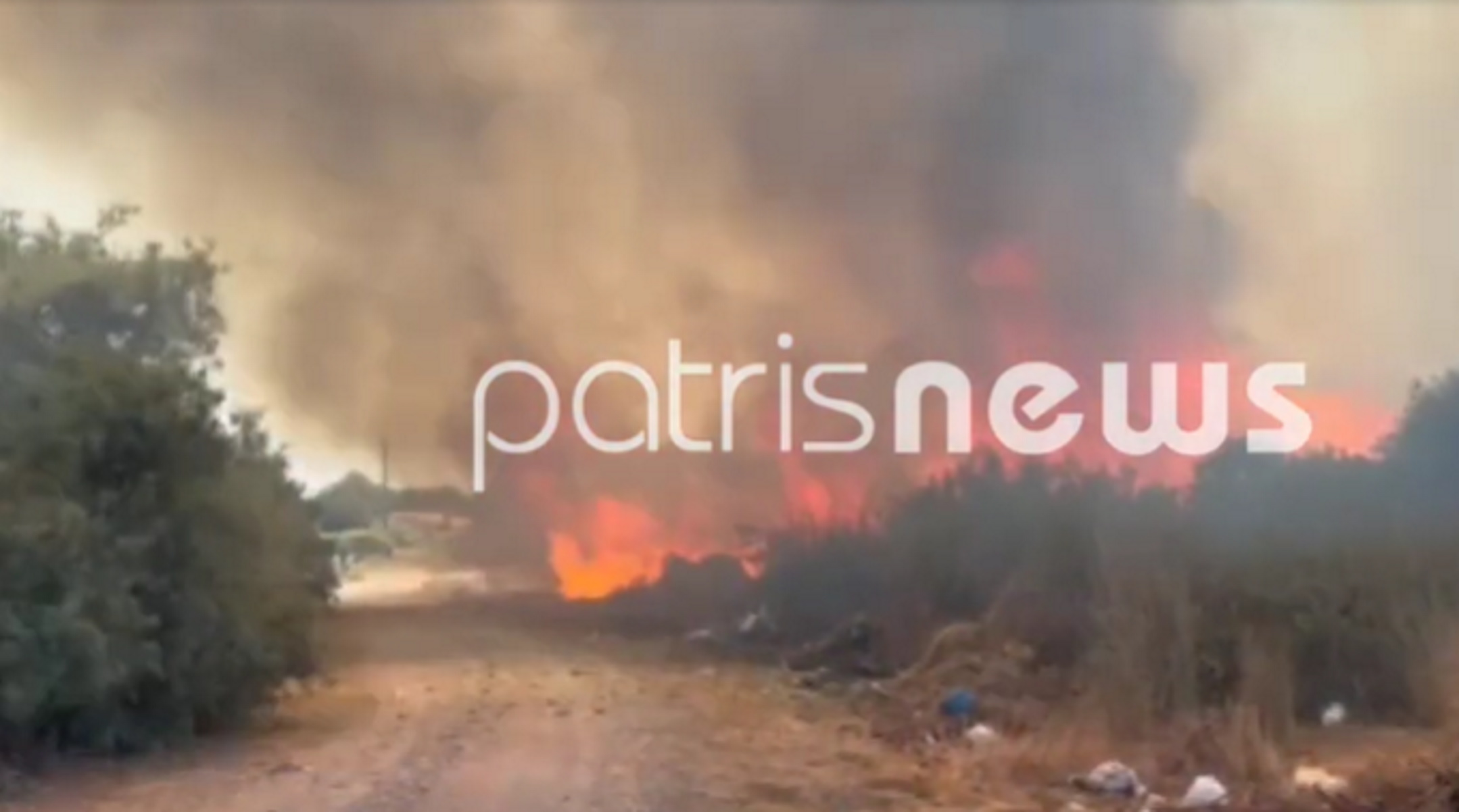 Φωτιά στην Σπιάτζα Ηλείας: Διπλό μέτωπο στην περιοχή Σαρακίνα κοντά σε σπίτια