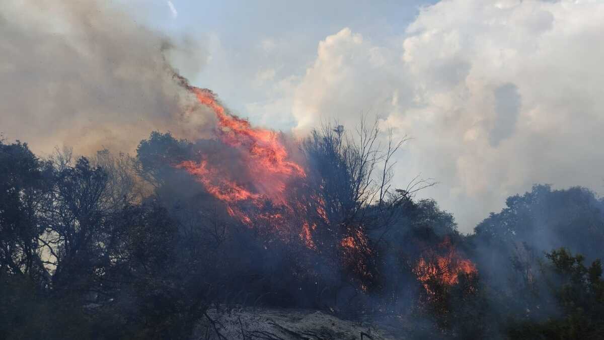 Φωτιά στην Ηλεία: Τραυματίστηκε πυροσβέστης την ώρα της κατάσβεσης