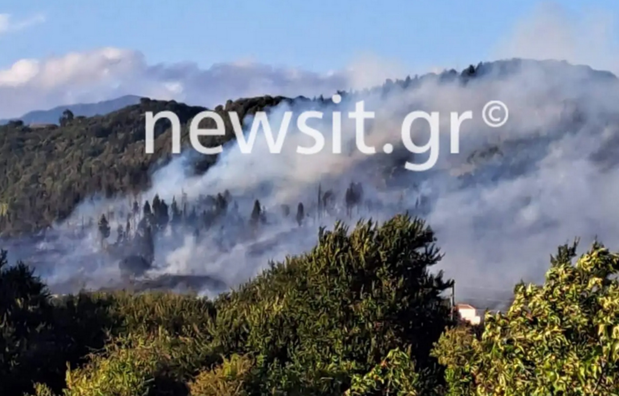 Φωτιά στην Κέρκυρα: Πλησιάζει τα πρώτα σπίτια στο Κεφαλόβρυσο – Ώρες αγωνίας για τους κατοίκους