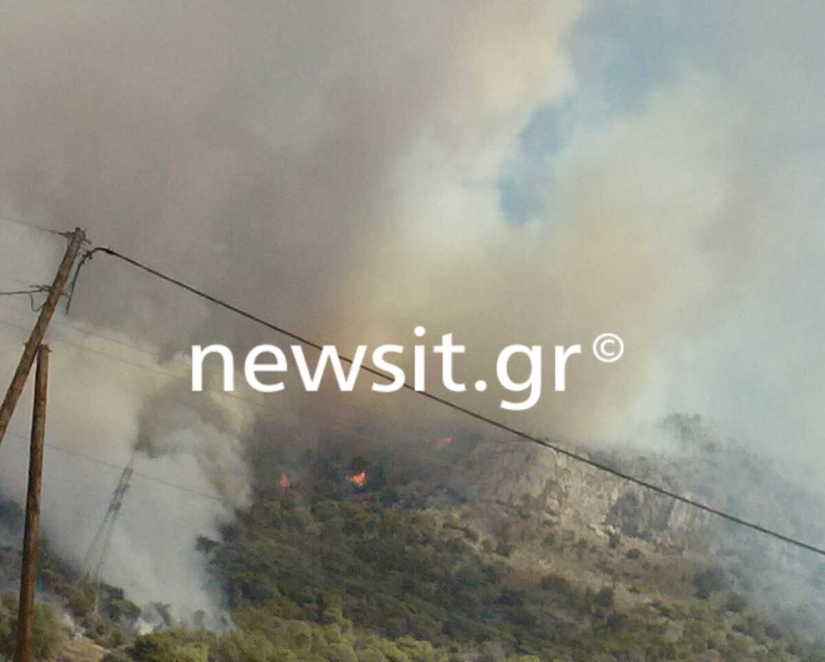 Φωτιά στη Νέα Πέραμο Ελευσίνας, κοντά στα διόδια