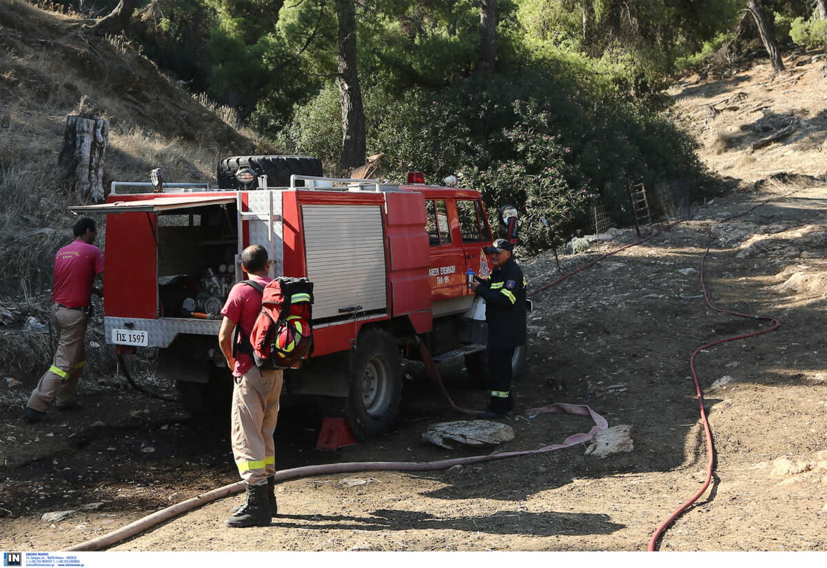 Φωτιά στο Δίστομο