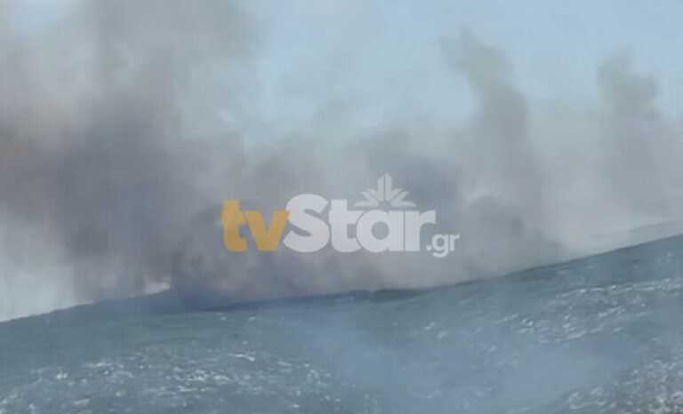 Δομοκός: Η φωτιά έχει στραφεί προς το χωριό Πετρωτό – Επίγειες και εναέριες δυνάμεις στο σημείο