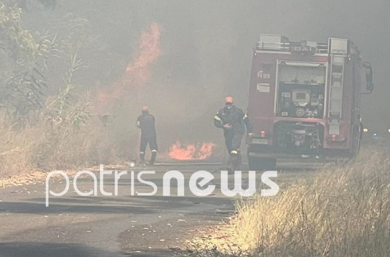 Φωτιά στον Πύργο στην περιοχή Ποτόκι