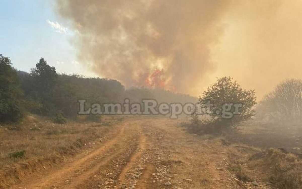 Μεγάλη φωτιά στο Λογγίτσι Στυλίδας – Επιχειρούν επίγειες και εναέριες δυνάμεις