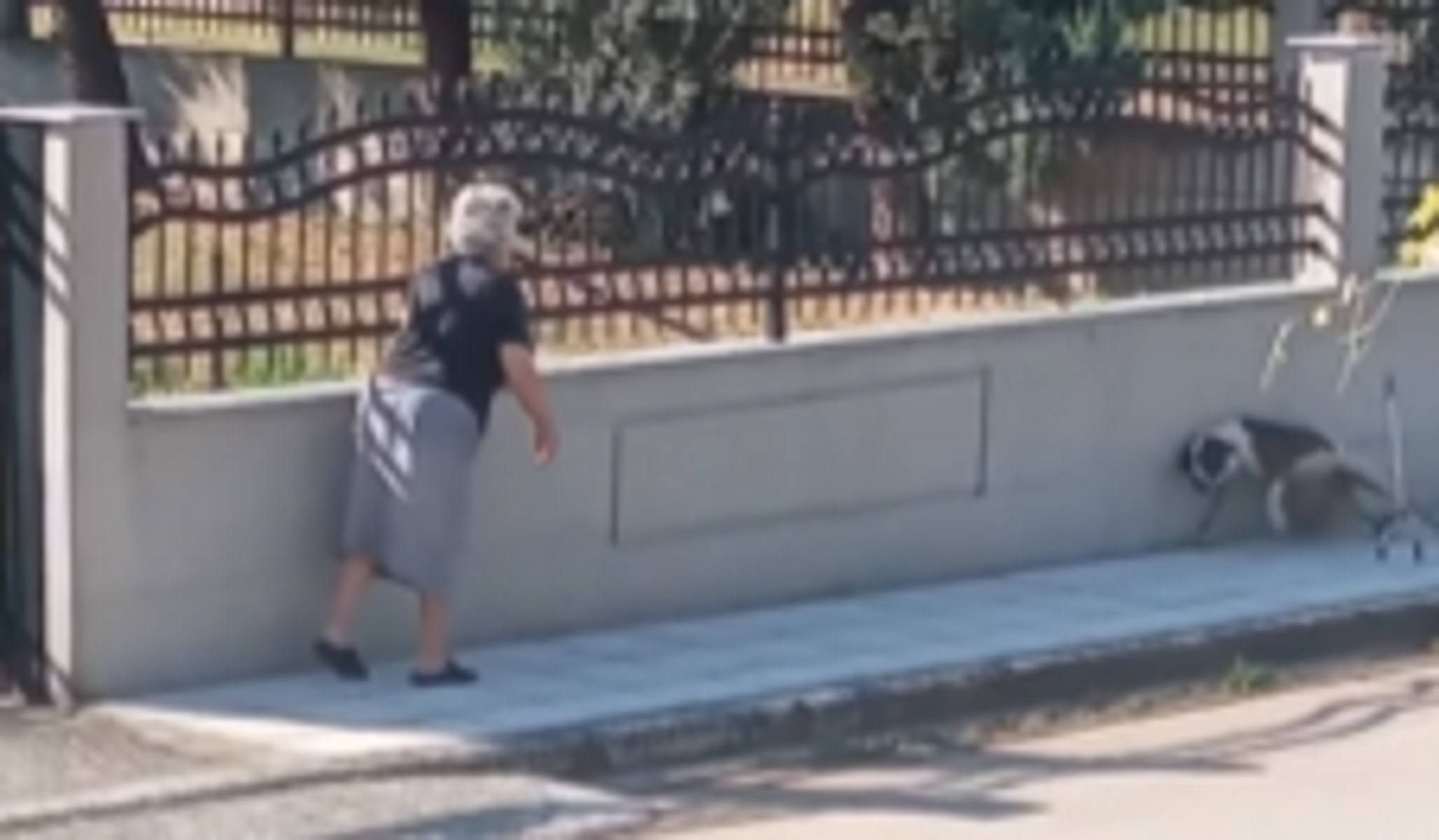 Λαγκαδάς Θεσσαλονίκης: Σάλος με βίντεο που δείχνει ηλικιωμένη να επιτίθεται σε σκύλο – Έντρομο το ζώο φεύγει κλαίγοντας