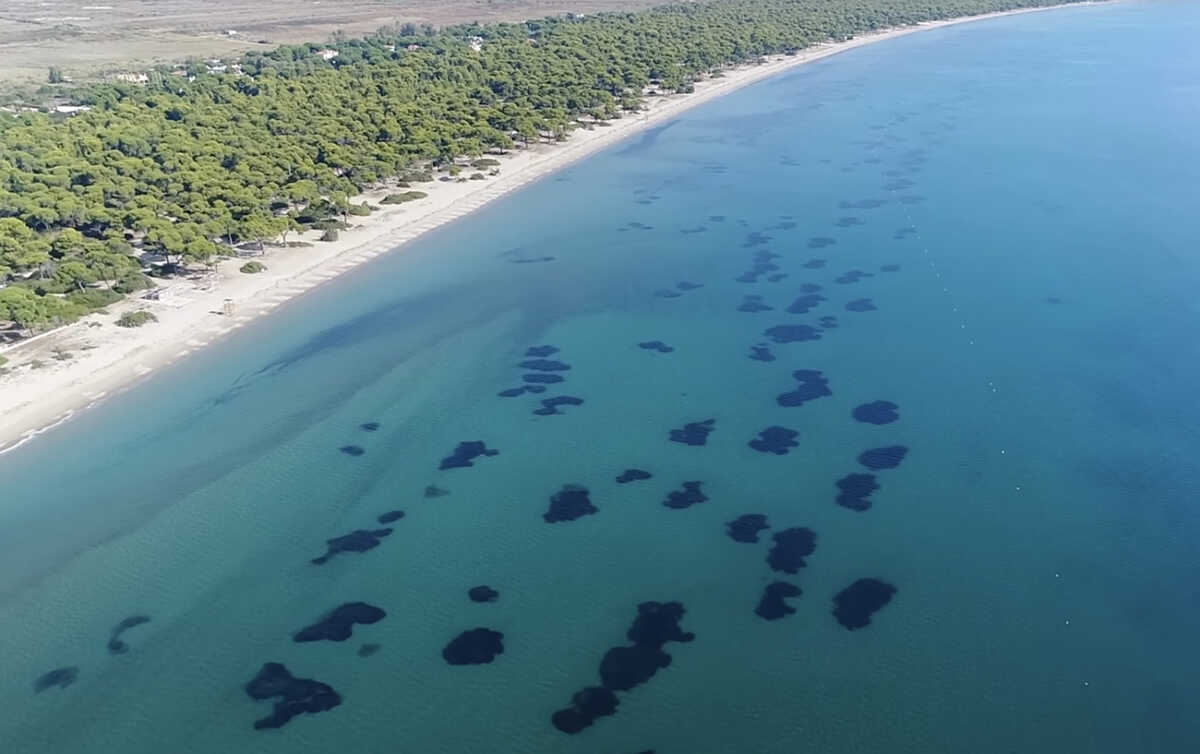 Χρυσή αμμουδιά χιλιομέτρων μόνο μία ώρα μακριά από την Αθήνα