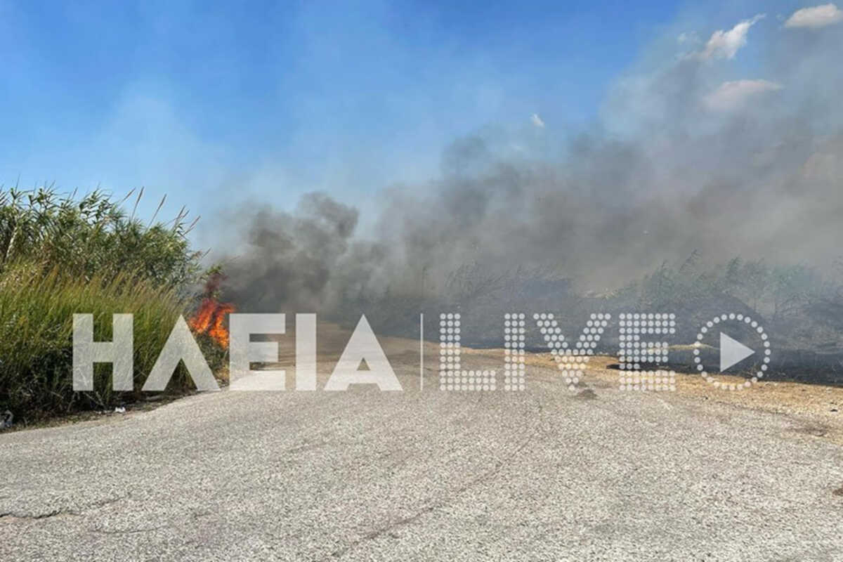 Φωτιά σε Ηλεία και Μεσολόγγι: Βελτιωμένη εικόνα στην Στάμνα, υπό μερικο έλεγχο οι φλόγες στον Αλφειό