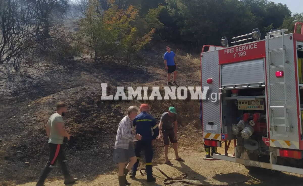 Φωτιά στη Φθιώτιδα: Εκδηλώθηκε ταυτόχρονα σε 4 διαφορετικά σημεία μέσα σε δάσος στη Συκά Υπάτης