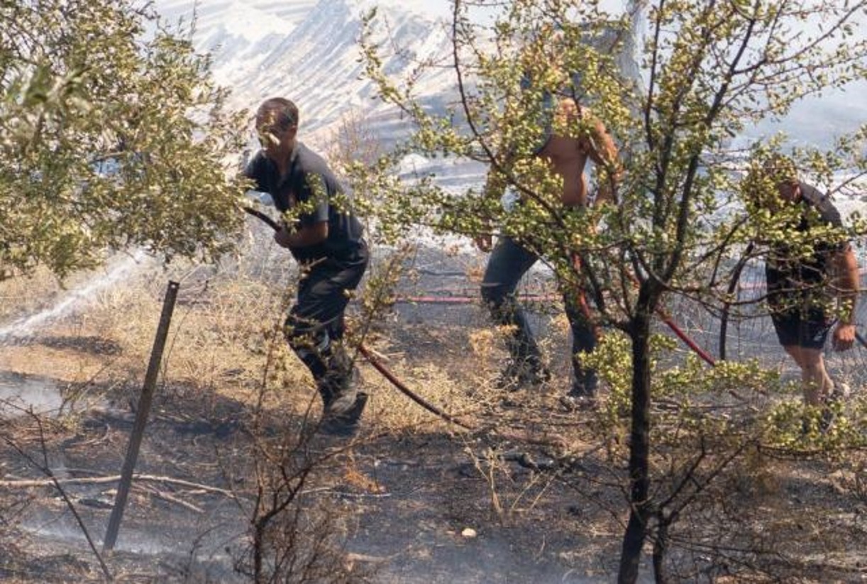 Φθιώτιδα: Κάηκε μαντρί μαζί με τα ζώα στην Ελάτεια