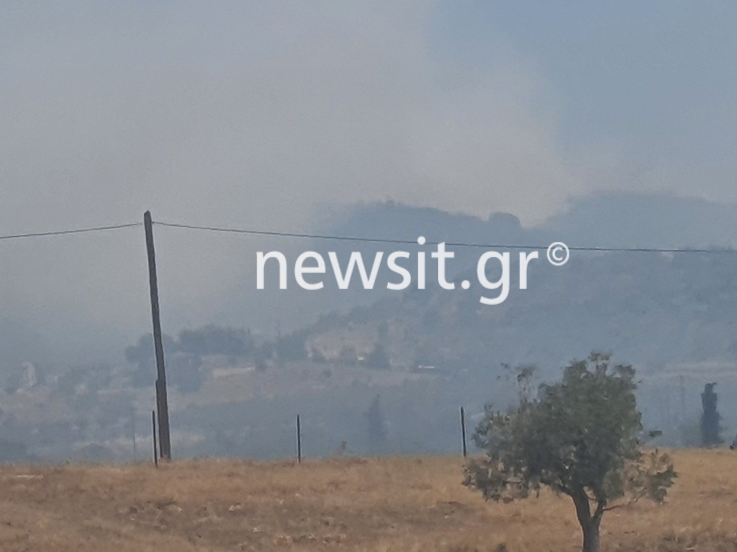 Φωτιά στην Αργολίδα – Καίει σε περιοχή κοντά στο Ναύπλιο