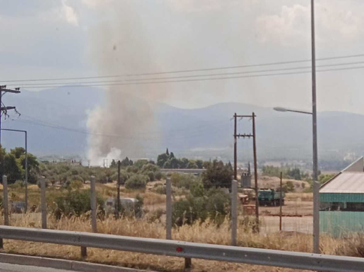 Φωτιά στα Οινόφυτα – Επιχειρούν επίγειες δυνάμεις