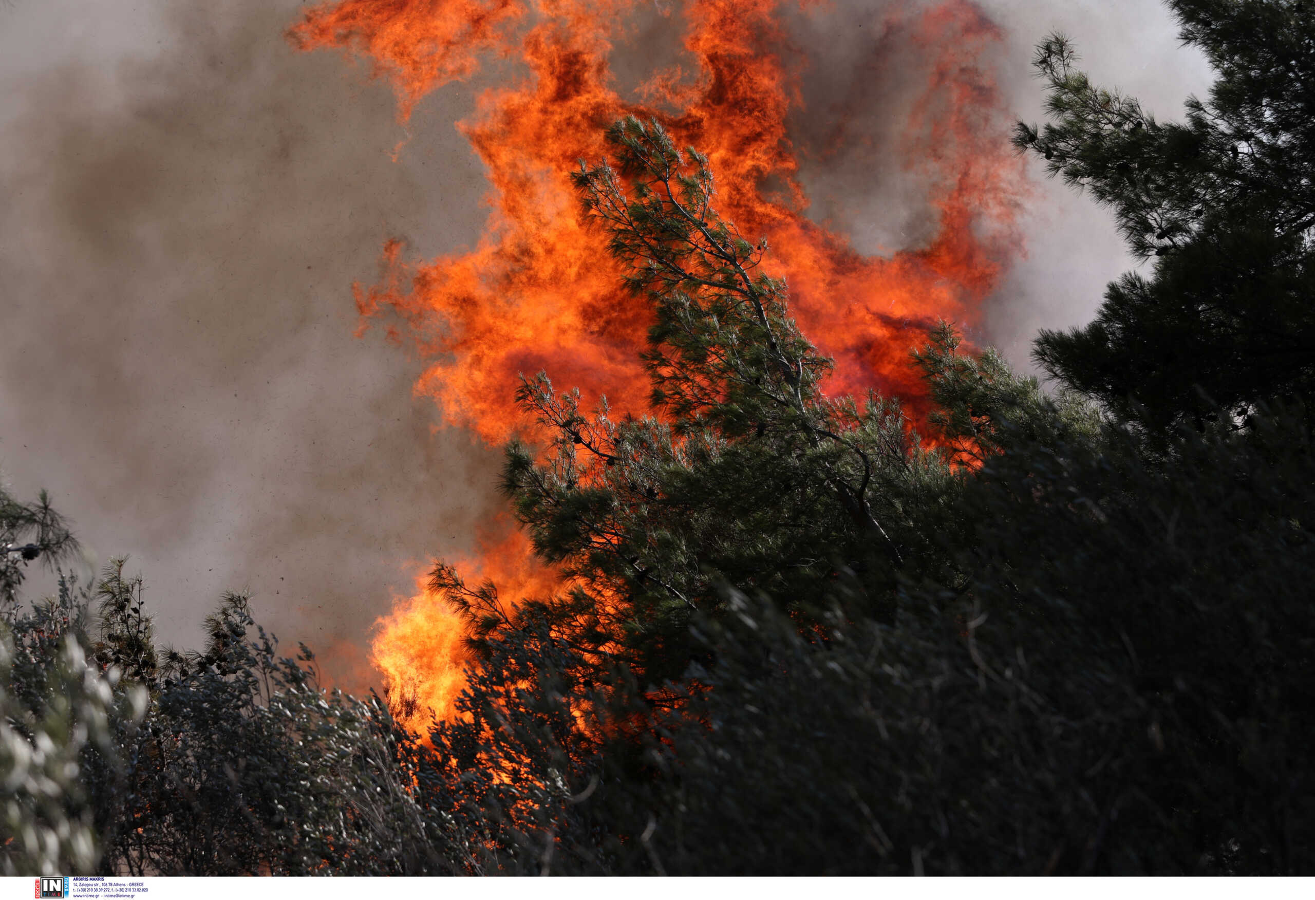 Φωτιά στο Ηράκλειο στην επαρχία Μονοφατσίου