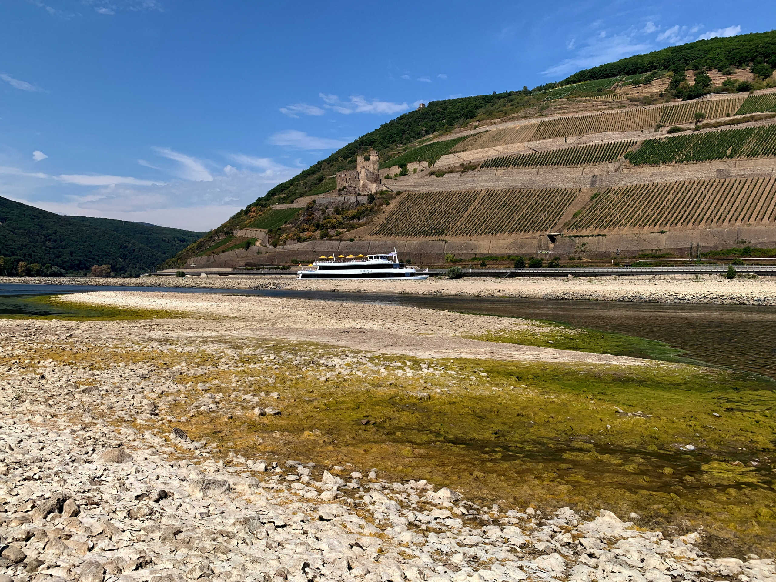 FILE PHOTO: A tourist vessel cruises past the partially dried riverbed of the Rhine river in Bingen, Germany, August 17, 2022. REUTERS