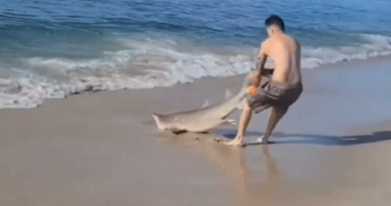 Καρχαρίας στα χέρια νεαρού σε παραλία της Νέας Υόρκης – Τον ψάρεψε και πάλευε μαζί του