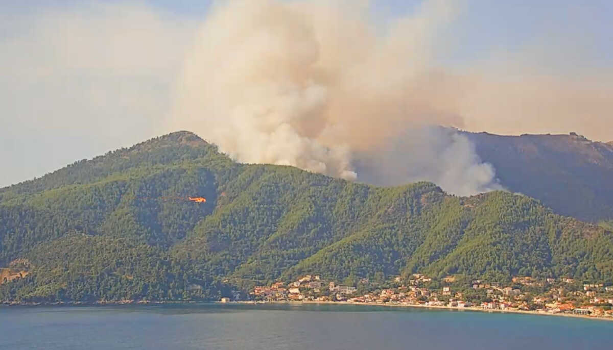 Φωτιά στη Θάσο: Καίει δάσος με πεύκα – Δεν απειλούνται σπίτια