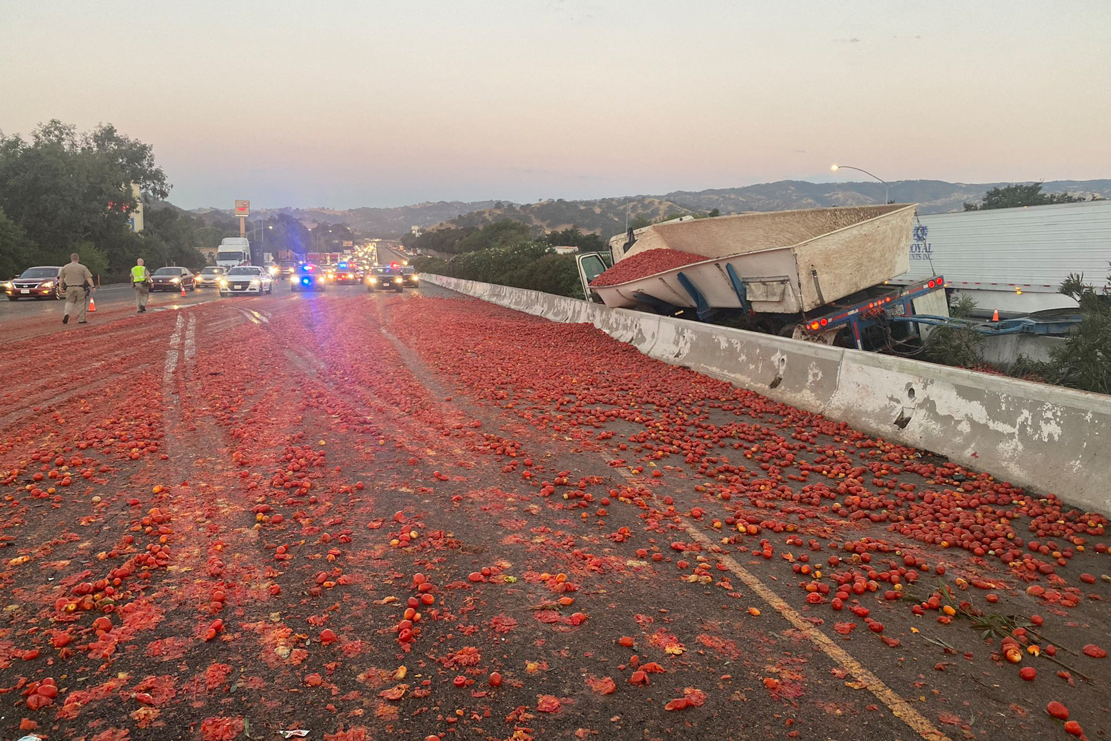 Καλιφόρνια: Πανικός από 150.000 ντομάτες που έπεσαν σε αυτοκινητόδρομο προκαλώντας  συγκρούσεις και τραυματίες