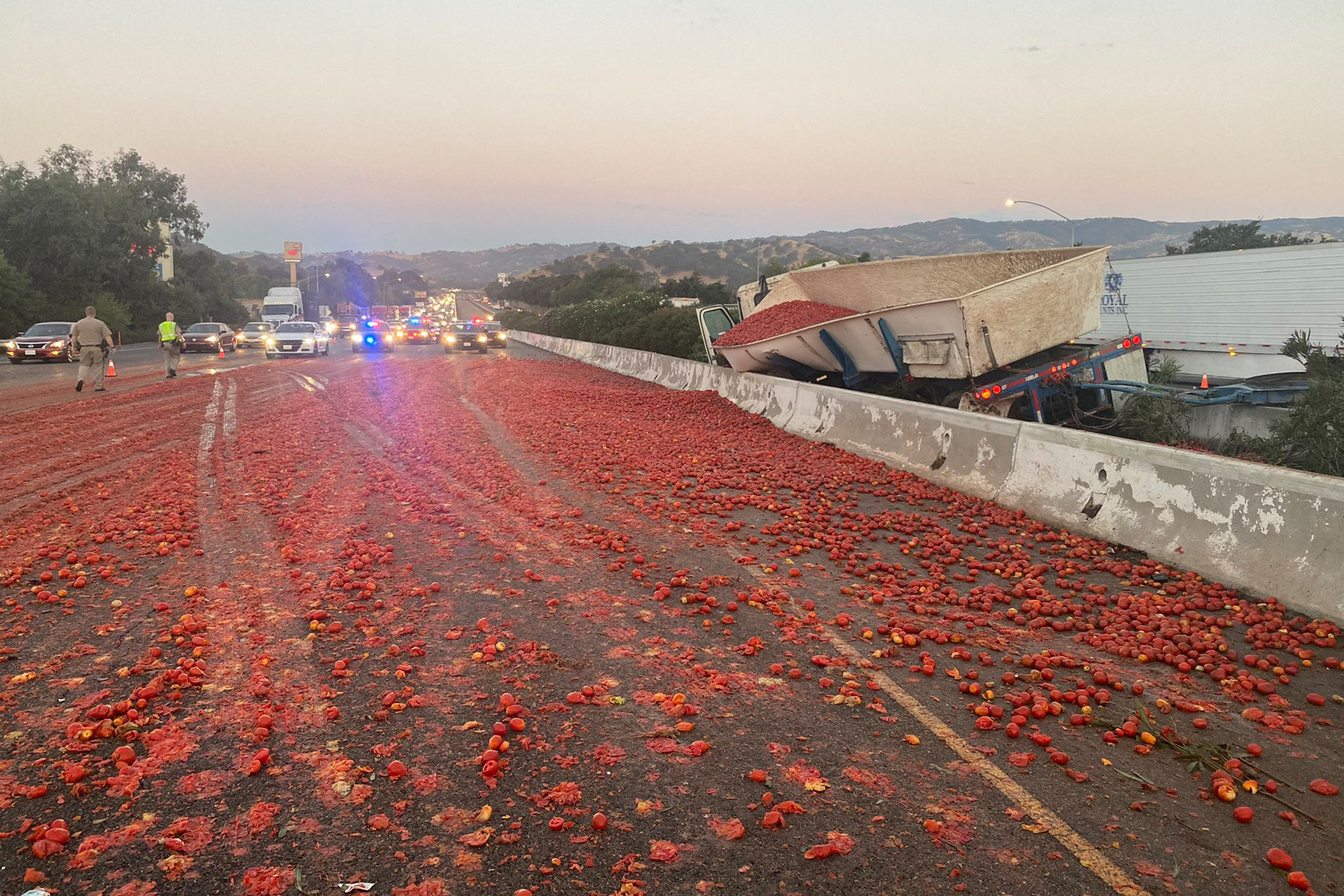 Tomatoes cover the I-80 highway after a crash spilled the contents of a transport truck across the center divide, in Vacaville, California, U.S. August 29, 2022.  California Highway Patrol