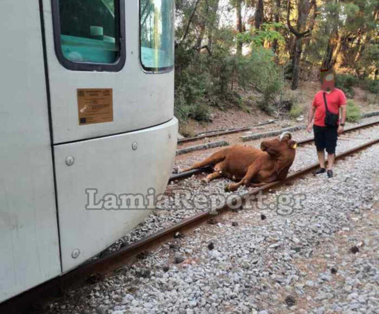 Δυο χιλιόμετρα περπάτημα για τους επιβάτες του τρένου που χτύπησε αγελάδα και αργότερα εκτροχιάστηκε - Νέο πρόβλημα στην Οινόη