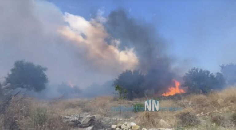 Οριοθετήθηκε η φωτιά στην Αφροξυλιά Ναυπακτίας - Η έγκαιρη επέμβαση της πυροσβεστικής έσωσε τα σπίτια