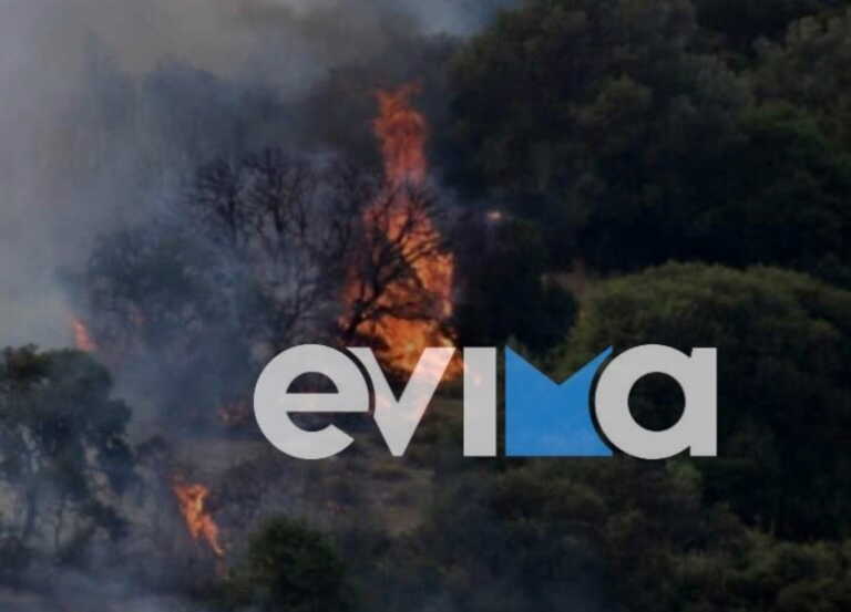 Φωτιά στη Ριτσώνα – Μεγάλη κινητοποίηση της πυροσβεστικής υπηρεσίας