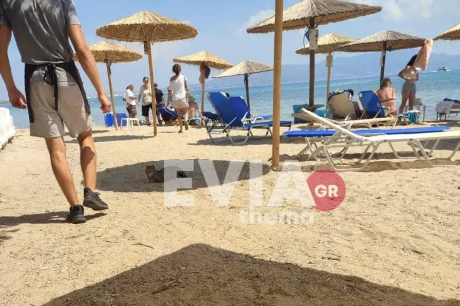 Αγκίστρι: Άνδρας ξεψύχησε στην θάλασσα δίπλα στην γυναίκα του