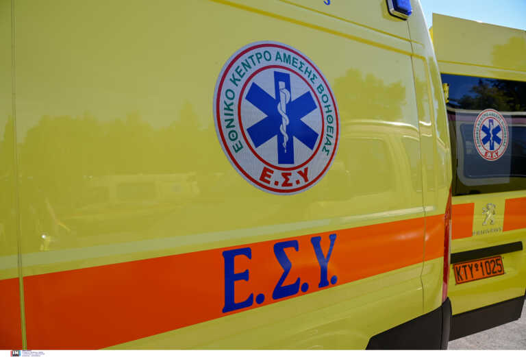 Εύβοια: Δέντρο καταπλάκωσε εργά στην Λίμνη - Στο νοσοκομείο σοβρά τραυματισμένος