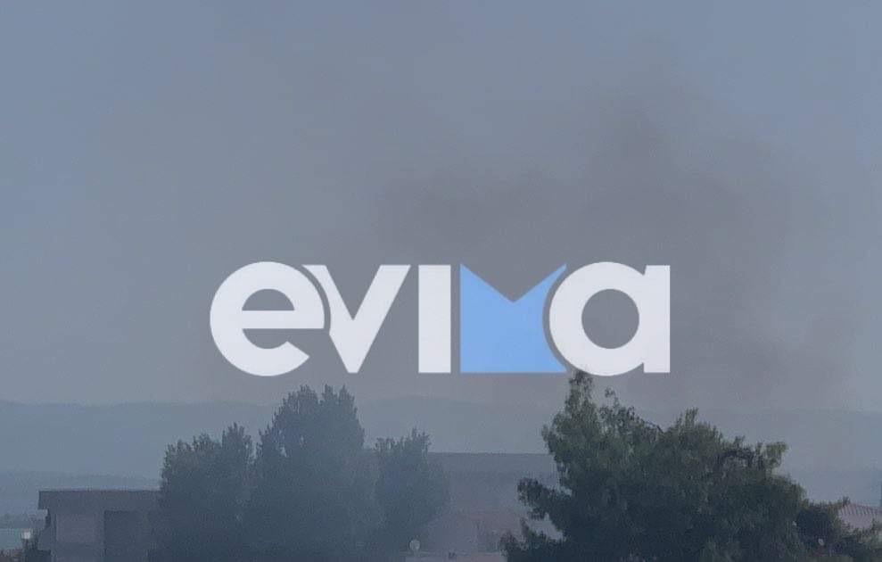 Φωτιά στη Χαλκίδα: Δείτε το πυκνό σύννεφο καπνού που απλώνεται και έχει αρχίσει να σκεπάζει την πόλη