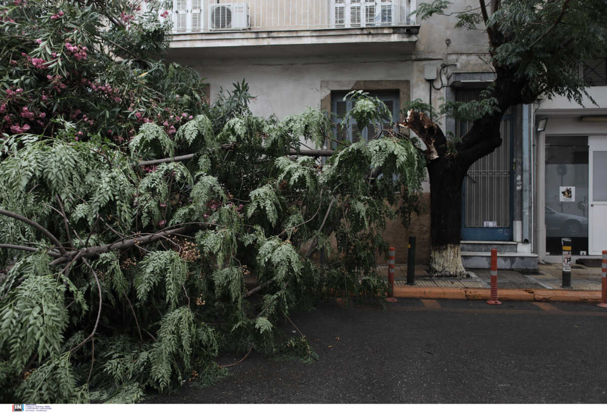 Καιρός – Αρναούτογλου: Μην παρκάρετε αυτοκίνητα κάτω από δέντρα – Έρχονται πολύ ισχυροί άνεμοι