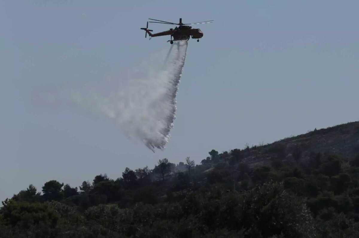 Φωτιά στο Χαϊδάρι: Επίγειες και εναέριες δυνάμεις πρόλαβαν το πύρινο μέτωπο