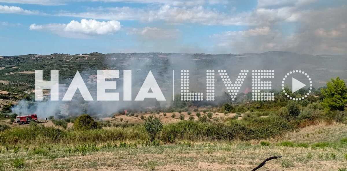 Φωτιά στην Ηλεία στην περιοχή Μουζάκι