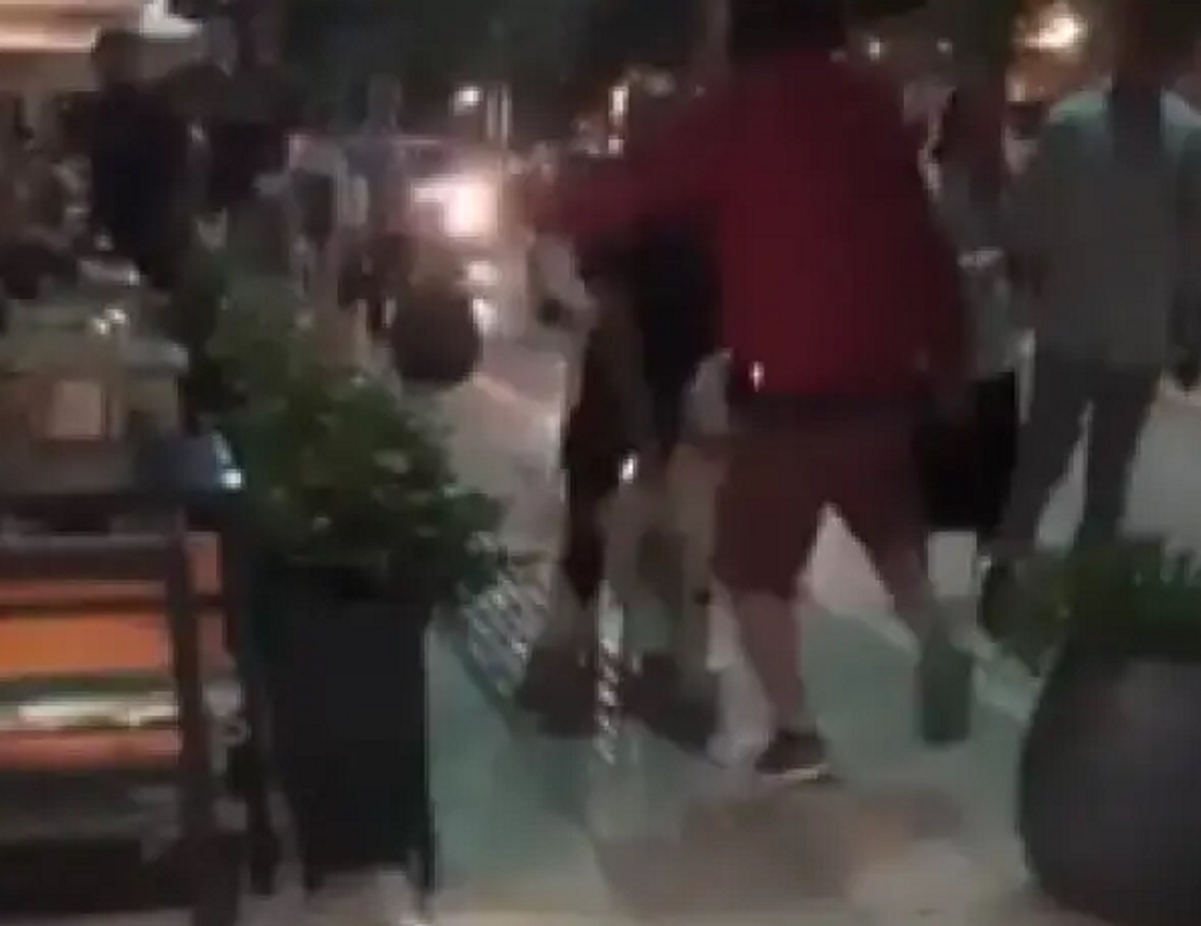 Γιάννενα: Η στιγμή που σκύλος δέχεται κλωτσιά στο κεφάλι από νεαρό με κράνος – Οργή στα social media