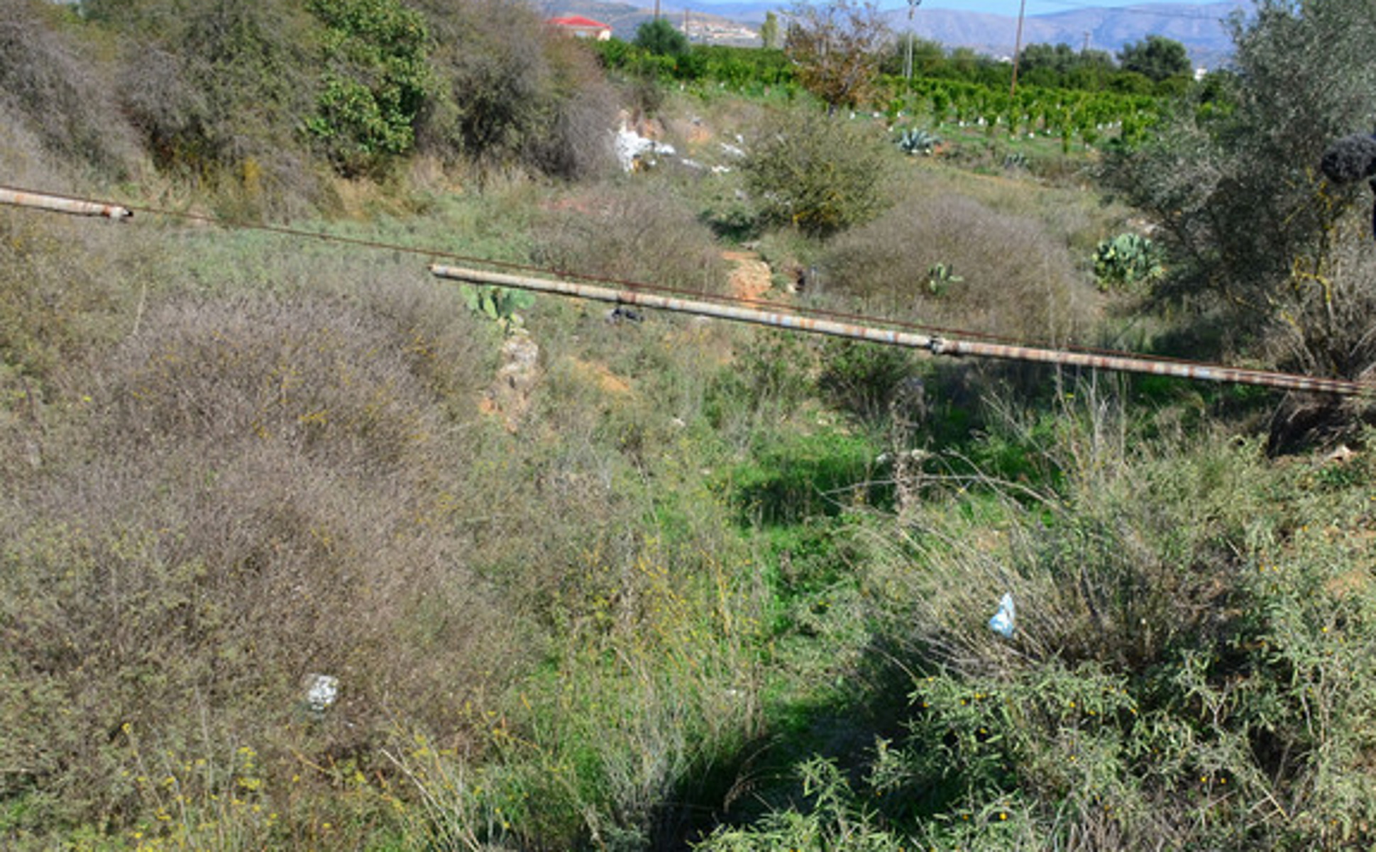 Με μια μακάβρια ανακάλυψη ήρθαν αντιμέτωποι άνδρες της αστυνομίας στο Ναύπλιο. Ένας ανθρώπινος σκελετός βρέθηκε κοντά στον δρόμο που οδηγεί στο χωρίο του Αγίου Ανδριανού μέσα σε ρέμα της περιοχής, Τετάρτη 30 Οκτωβρίου 2013. Οι άνδρες της εγκληματολογικής υπηρεσίας της αστυνομίας  που βρέθηκαν στο σημείο είναι σίγουροι πως η σορός βρίσκεται στο σημείο τουλάχιστον έναν χρόνο, ενώ βρέθηκαν και στοιχεία της ταυτότητας του.  Πρόκειται για Ρουμάνο υπήκοο. Ο σκελετός καταφέρθηκε στο νεκροτομείο της ιατροδικαστικής υπηρεσίας για να ελεγχθεί αν πρόκειται για εγκληματική ενέργεια. ΑΠΕ-ΜΠΕ