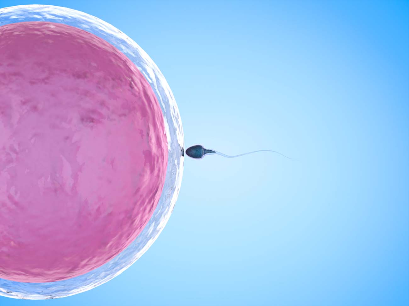 IVF or IVF?  What fertility treatment is right for you?