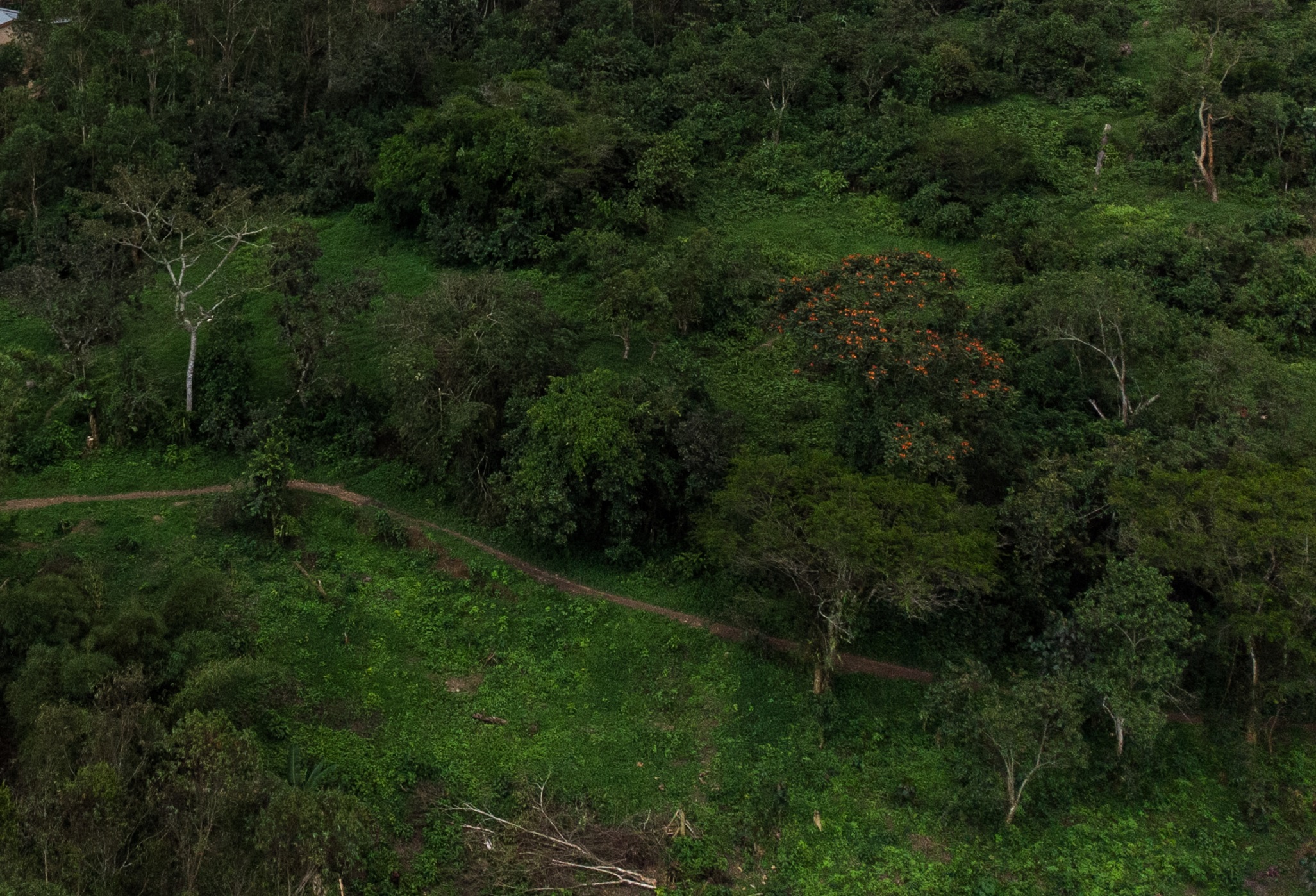 Aerial view of the area between Butembo and Beni in the eastern Democratic Republic of Congo, October 13, 2021. An Ebola outbreak killed more than 2,200 people in this area between 2018 and 2020. Thomson Reuters Foundation