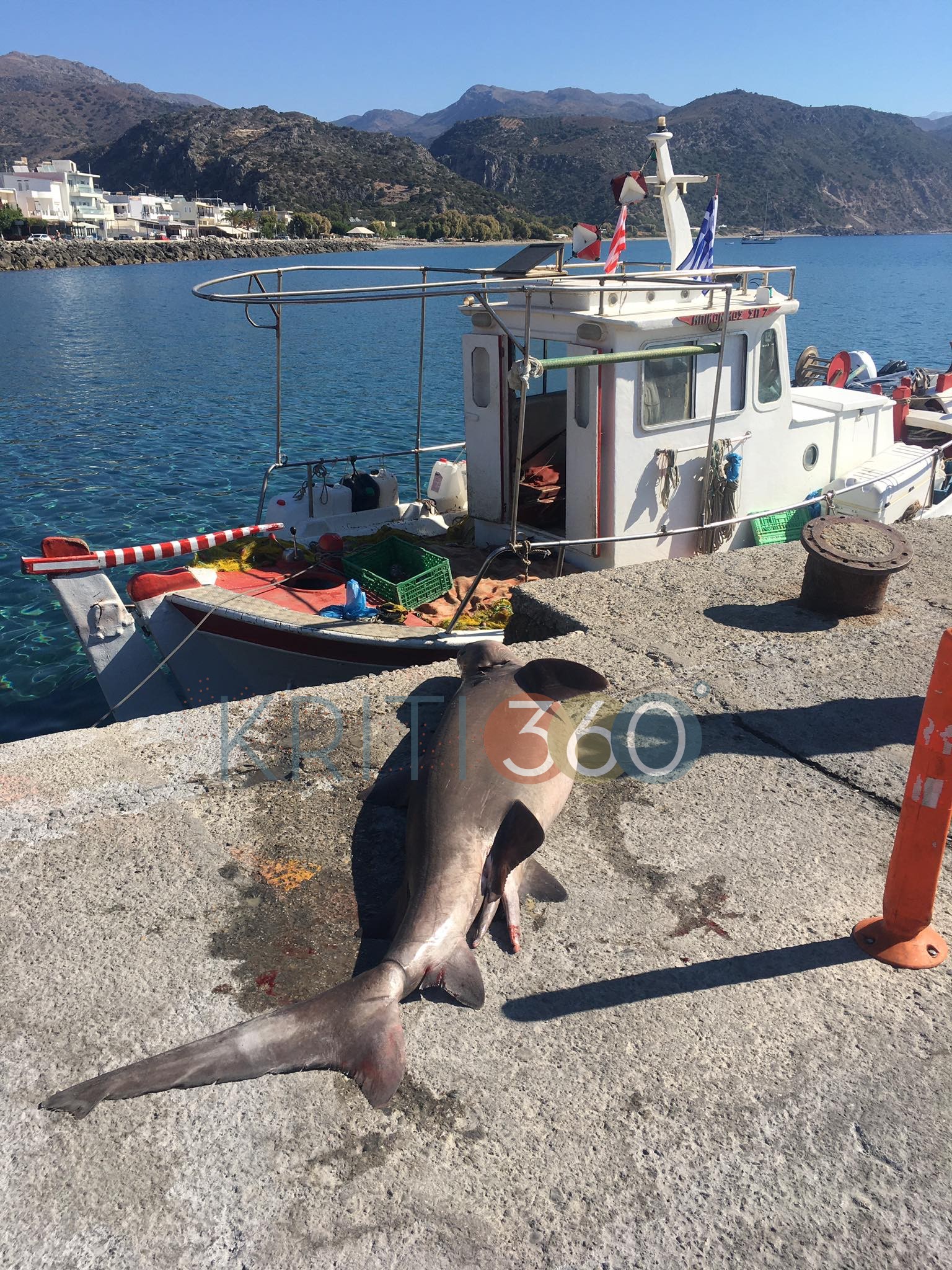 Κρήτη: Τα σαγόνια του καρχαρία στη στεριά μαγνήτισαν όλα τα βλέμματα – Δείτε την ψαριά της ζωής τους