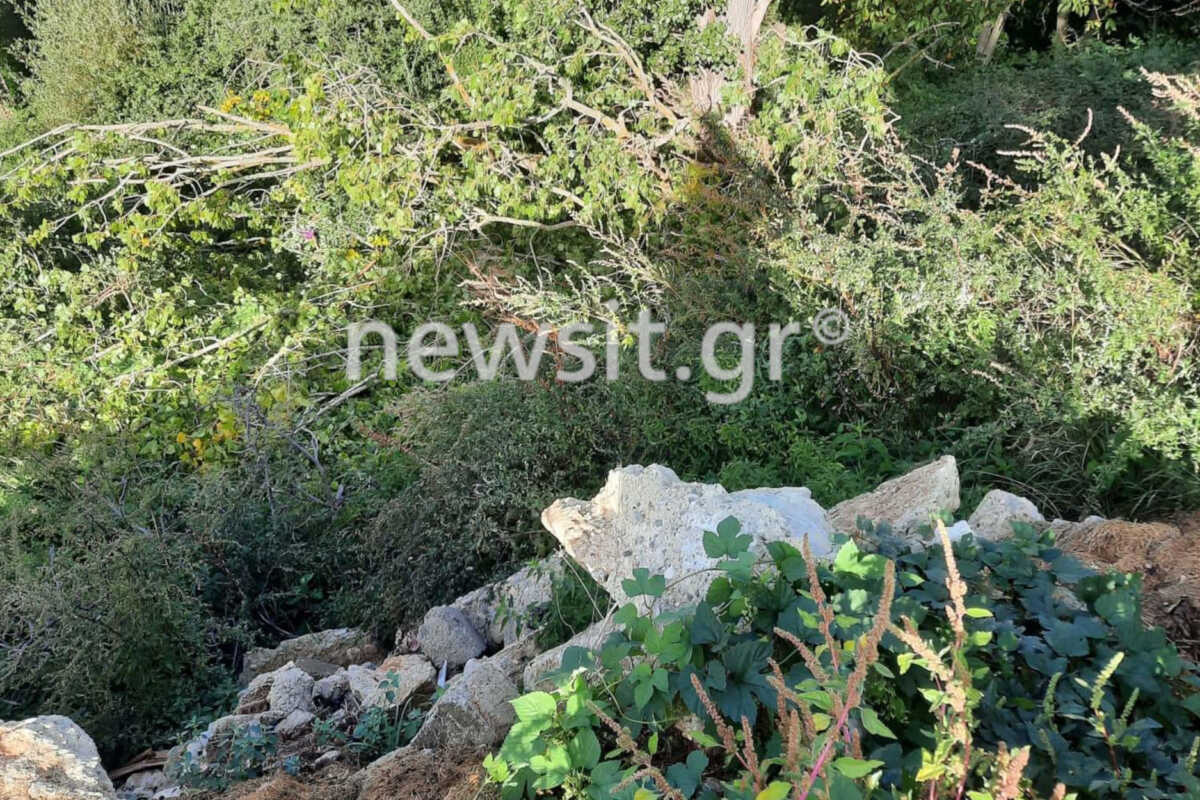 Καστοριά: Εδώ βρέθηκαν τα οστά στο Δενδροχώρι – Σοκαρισμένη η τοπική κοινωνία