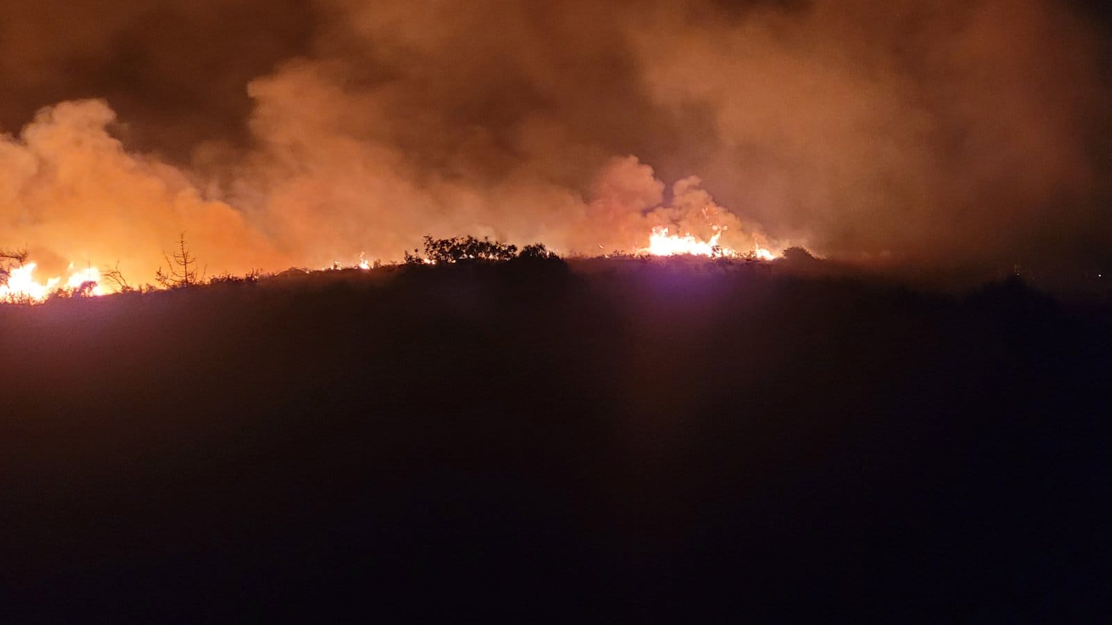 Φωτιά στη Κεφαλονιά – Δύο πύρινα μέτωπα σε Κοντογενάδα και Σπαρτιά