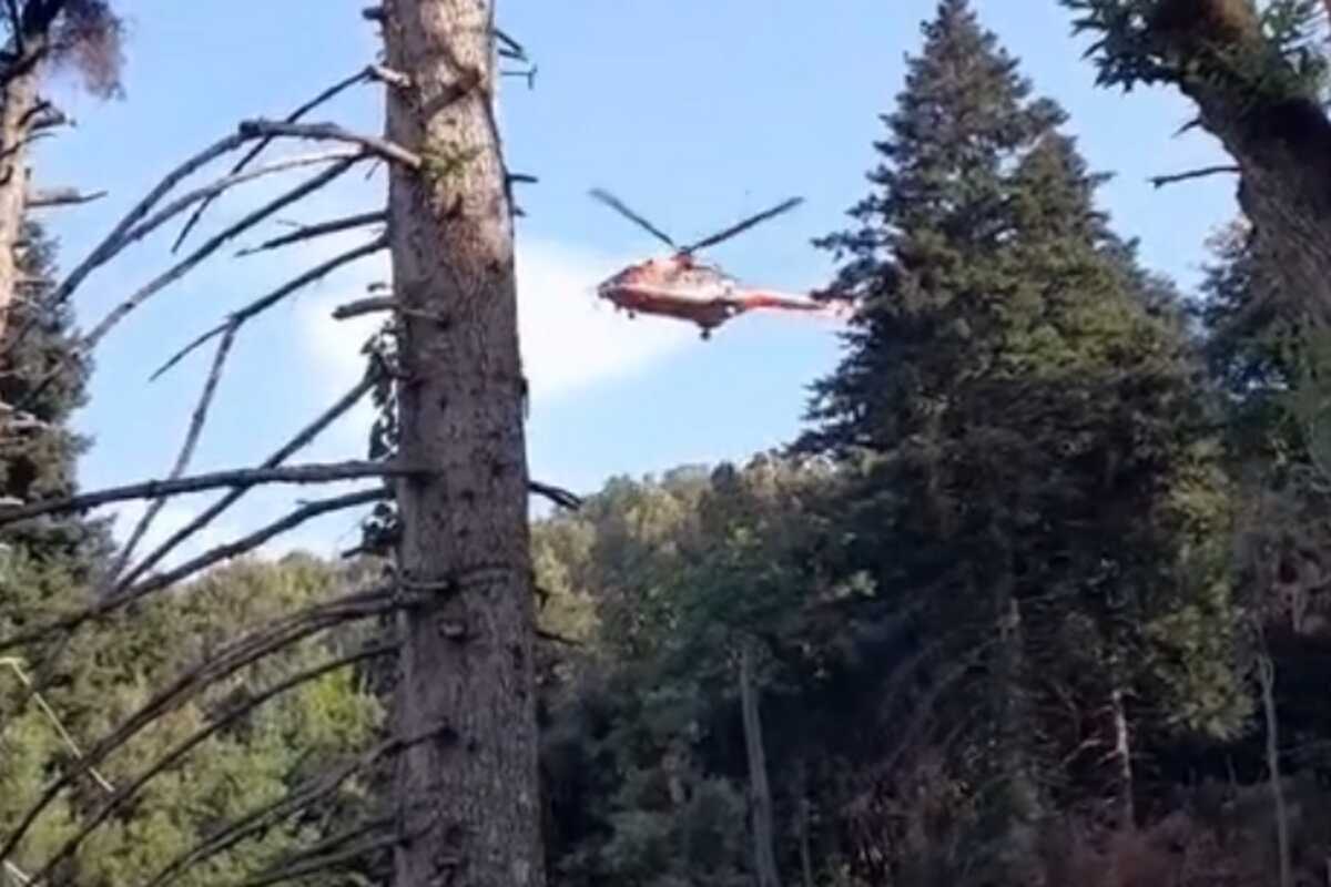 Όλυμπος: Η στιγμή που ελικόπτερο της αστυνομίας πετάει πάνω από τη φυτεία με τα 5.000 χασισόδεντρα