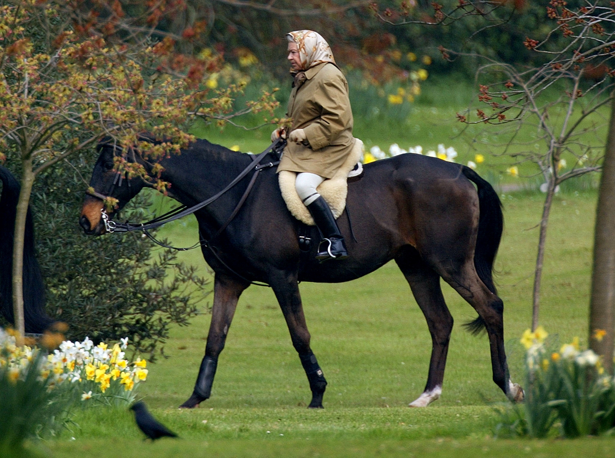 FILE PHOTO: Britain's Queen Elizabeth II rides her horse on the grounds of Windsor Castle, Britain, April 2, 2002.  REUTERS