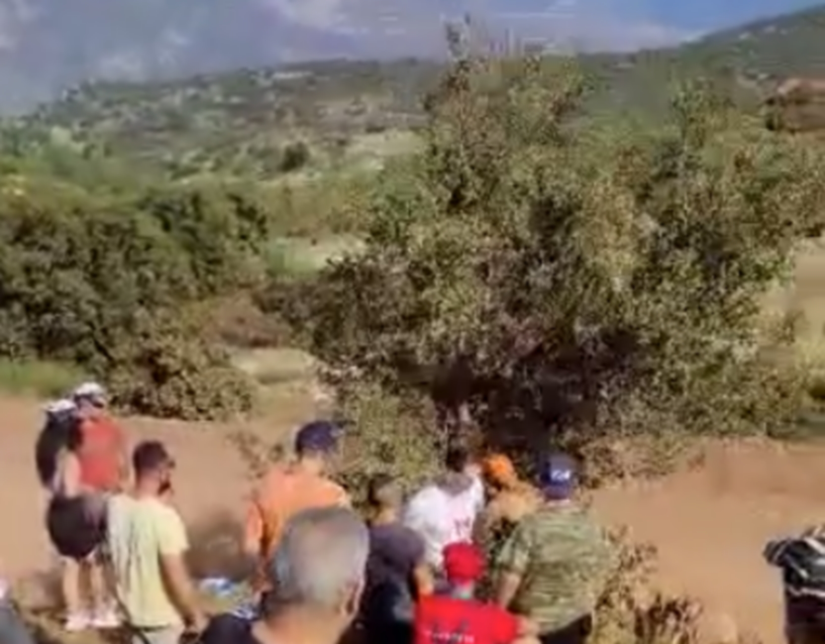 ΕΚΟ Ράλλυ Ακρόπολις: Έκοψαν δέντρο με αλυσοπρίονο γιατί εμπόδιζε τη θέα στον αγώνα
