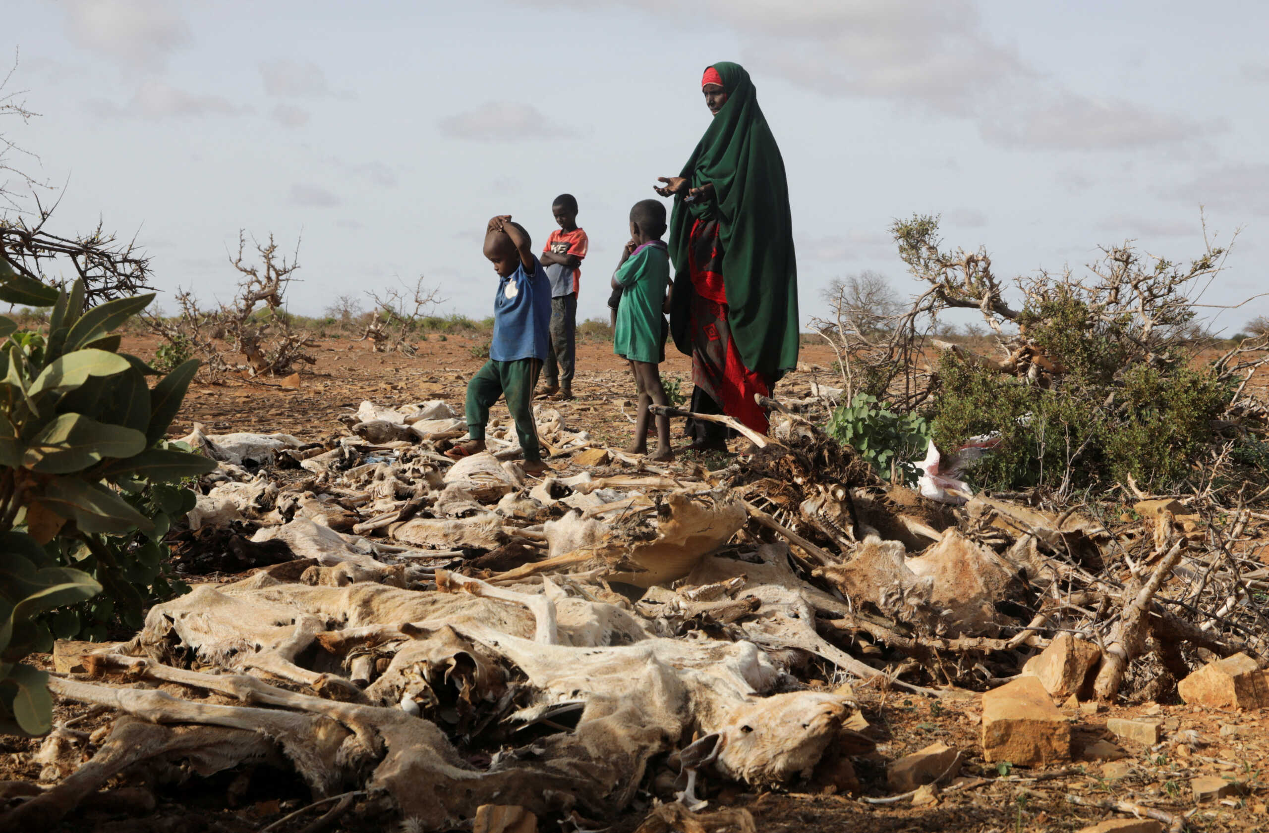 FILE PHOTO: Internally displaced Somali woman Habiba Bile and her children stand near the carcasses of their dead livestock following severe droughts near Dollow, Gedo Region, Somalia May 26, 2022. Picture taken May 26, 2022. REUTERS