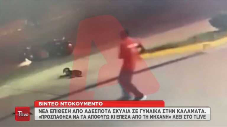 Βίντεο ντοκουμέντο από την επίθεση αδέσποτων σκύλων σε γυναίκα στην Καλαμάτα