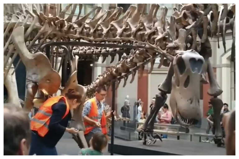 Ακτιβίστριες για το κλίμα κόλλησαν σε έκθεση δεινοσαύρων στο Μουσείο Φυσικής Ιστορίας του Βερολίνου